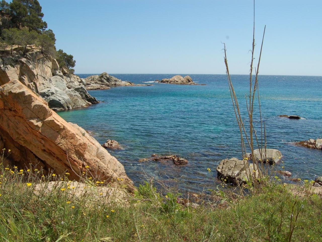 Studios Face A La Mer - Cala Llevado Тоса де Мар Екстериор снимка
